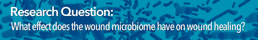 Research Question: What effect does the wound microbiome have on wound healing?