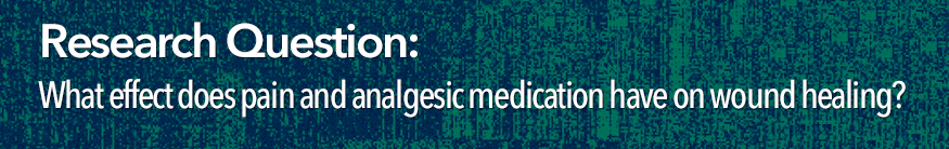 Research Question: What effect does pain and analgesic medication have on wound healing?